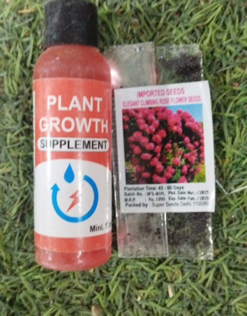 Close-up of climbing rose seeds for home gardening